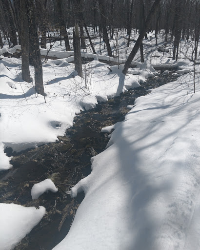 Ski Resort «High Point Cross Country Ski Center», reviews and photos, 1480 NJ-23, Sussex, NJ 07461, USA