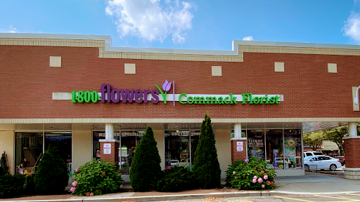 Florist «Commack Florist», reviews and photos, 6572 Jericho Turnpike, Commack, NY 11725, USA