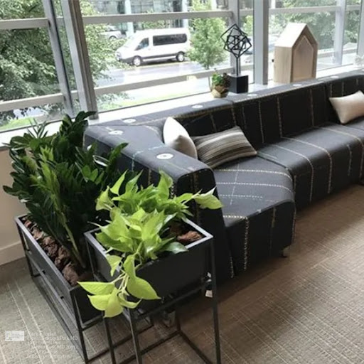 Florist «Park Florist», reviews and photos, 6921 Laurel Ave, Takoma Park, MD 20912, USA