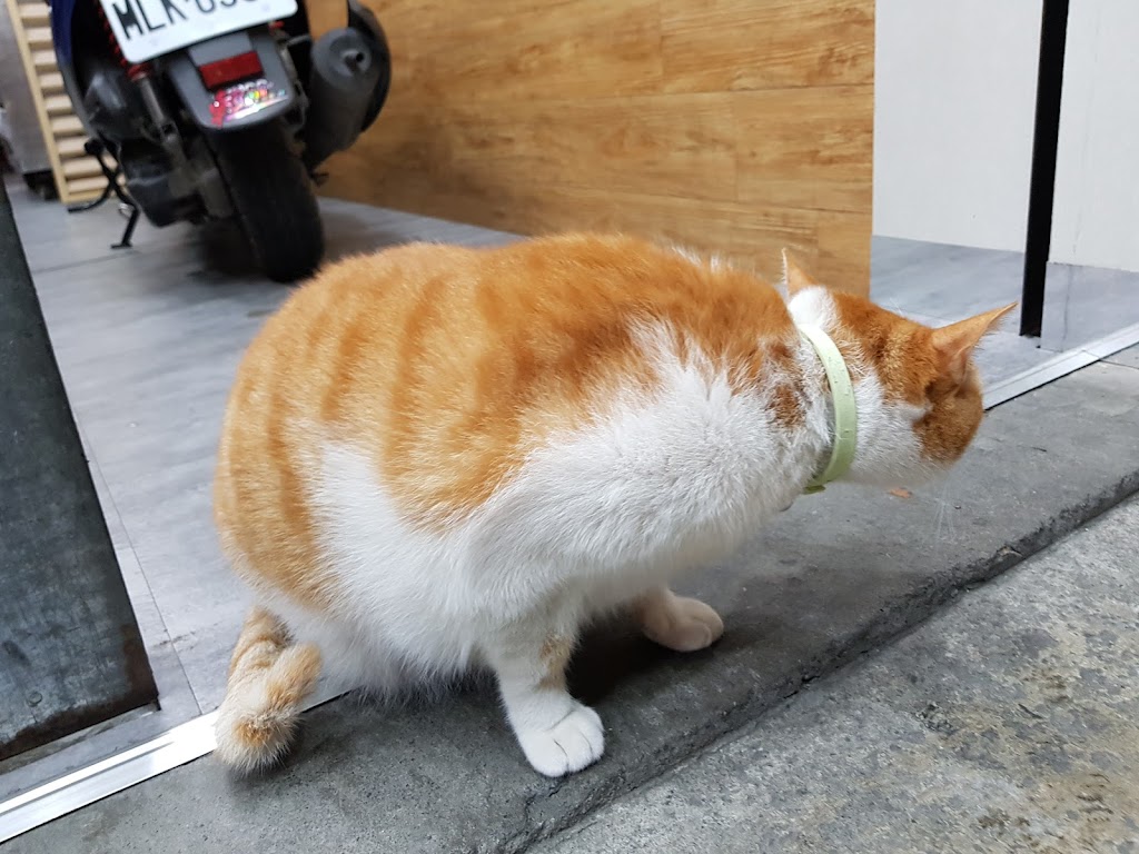 清心福全名間南雅店-珍珠奶茶手搖飲料專賣店 的照片