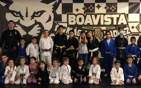 Boavista Jiu Jitsu (BJJ&MMA) image