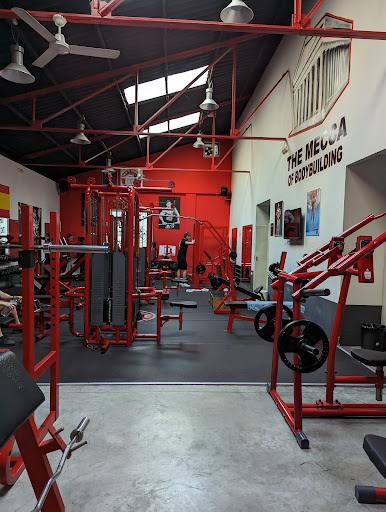 Iron`s Temple Gimnasio en Xàtiva, Valencia