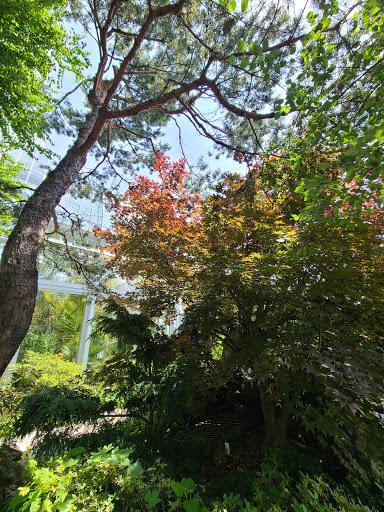Botanical Garden «Phipps Conservatory and Botanical Gardens», reviews and photos, 1 Schenley Drive, Pittsburgh, PA 15213, USA