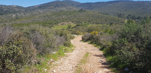 Proje Gayrimenkul Ofisi