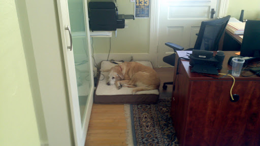 Auto Insurance Agency «Ben Torres - State Farm Insurance Agent», reviews and photos