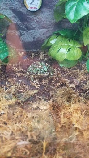 Pet Supply Store «Petco Animal Supplies», reviews and photos, 1970 S Robert St, West St Paul, MN 55118, USA