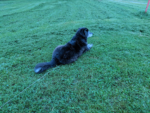 Drive-in Movie Theater «Overlook Drive-In Theatre», reviews and photos, 126 De Garmo Rd, Poughkeepsie, NY 12601, USA