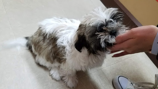 Pet Store «Petland», reviews and photos, 920 Hebron Rd, Heath, OH 43056, USA