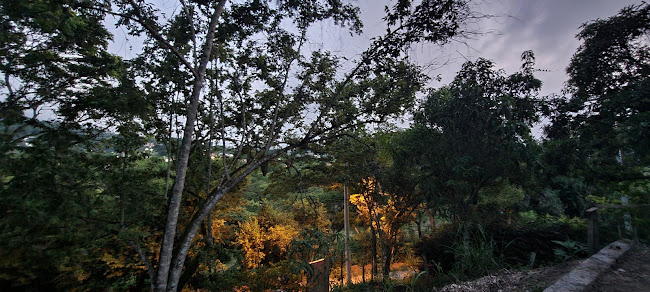 El jardín escondido - Guaduas