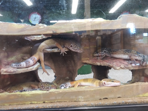 Pet Supply Store «Petco Animal Supplies», reviews and photos, 7303 Pinnacle Pkwy, Covington, LA 70433, USA