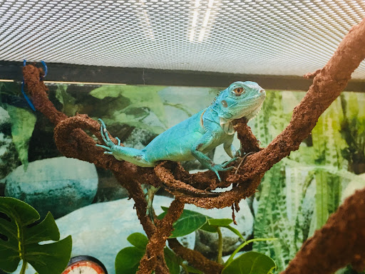 Pet Supply Store «Petco Animal Supplies», reviews and photos, 1391 NJ-35, Middletown, NJ 07748, USA