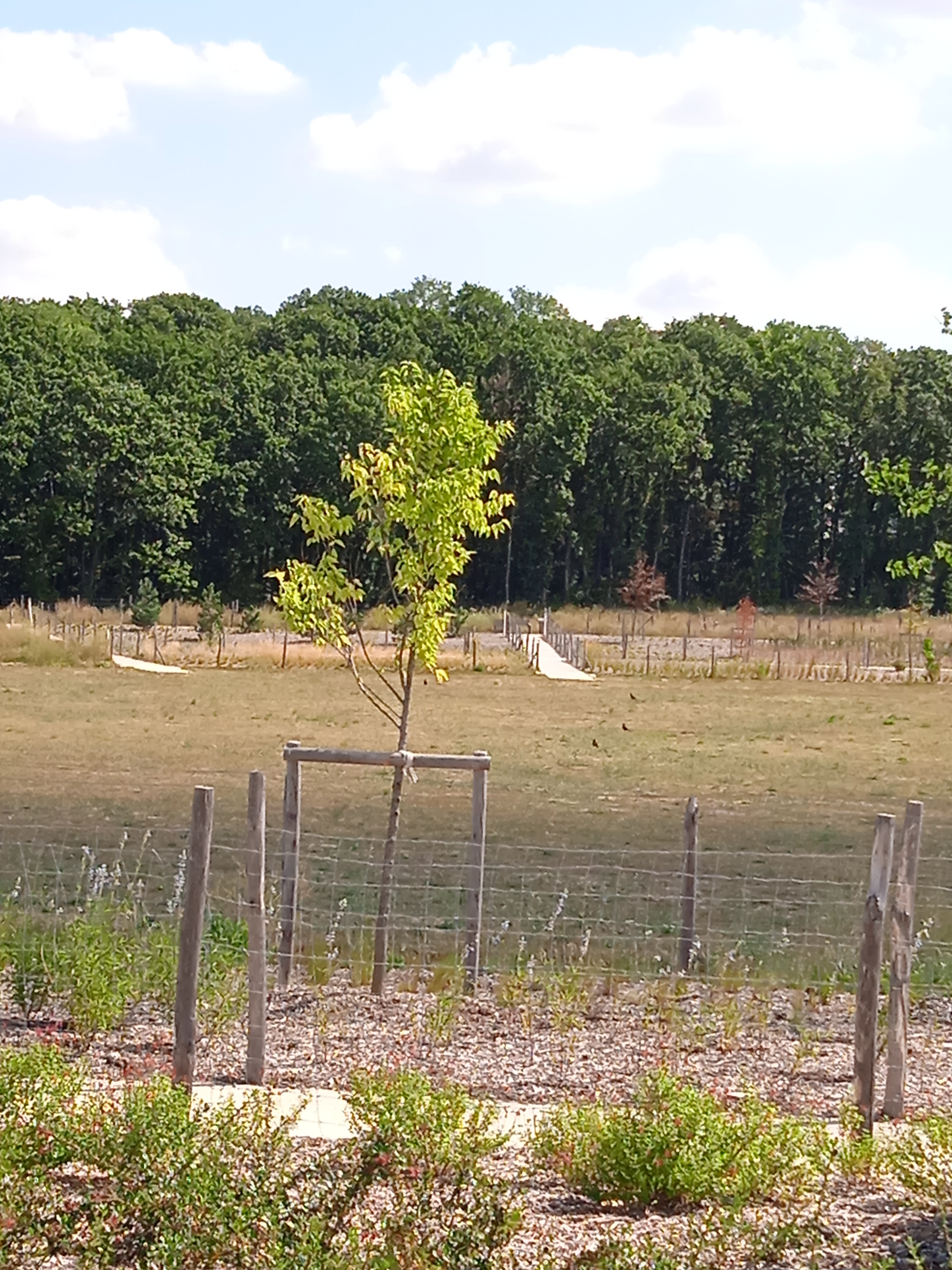 Photo n° 5 de l'avis de Tourn.a fait le 23/08/2022 à 20:34