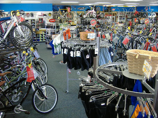 Bicycle Store «Fort Myers Cyclery - Schwinn GT Jamis Colnago», reviews and photos, 3630 S Cleveland Ave, Fort Myers, FL 33901, USA