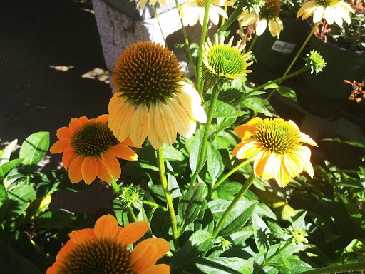 Home Improvement Store «The Home Depot», reviews and photos, 1100 Newport Ave, South Attleboro, MA 02703, USA