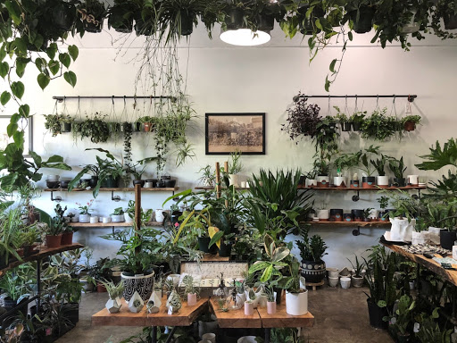 Gurton's Plant Shop