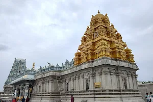 Sri Venkateshwara Swamy Temple TTD Jubilee Hills image