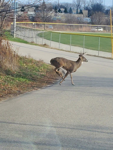 Nature Preserve «Elgin Shores Forest Preserve», reviews and photos, 772 S State St, Elgin, IL 60123, USA