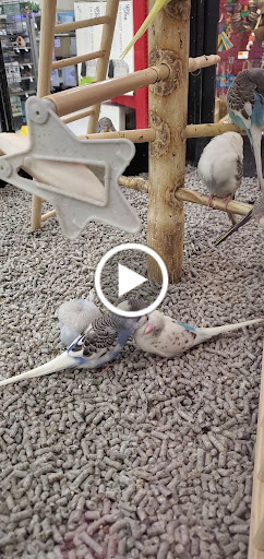 Pet Supply Store «Petco Animal Supplies», reviews and photos, 1333 Centennial Ave, Piscataway Township, NJ 08854, USA