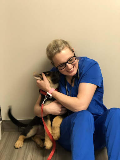 Hillcrest Animal Hospital image