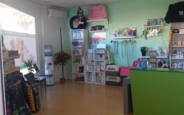 CENTRO VETERINARIO BIENESTAR ANIMAL