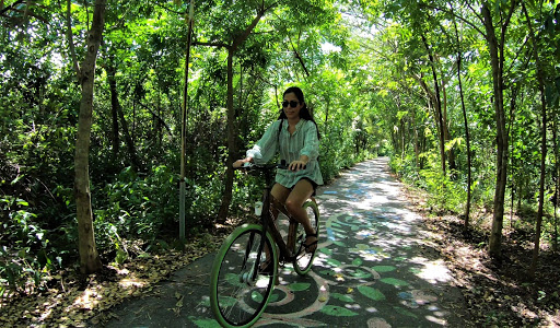 Bamboo Bicycle Tours Thailand