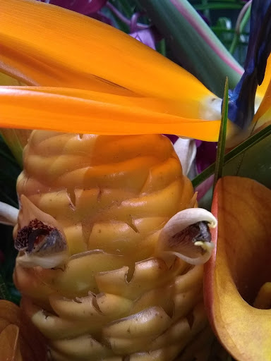 Grocery Store «Grocery Outlet Bargain Market», reviews and photos, 32945 Pacific Hwy S, Federal Way, WA 98003, USA