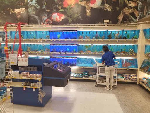 Pet Supply Store «PetSmart», reviews and photos, 7616 Denton Hwy #532, Watauga, TX 76148, USA