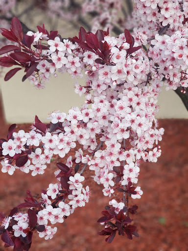 Casino «Ho-Chunk Gaming Madison», reviews and photos, 4002 Evan Acres Rd, Madison, WI 53718, USA