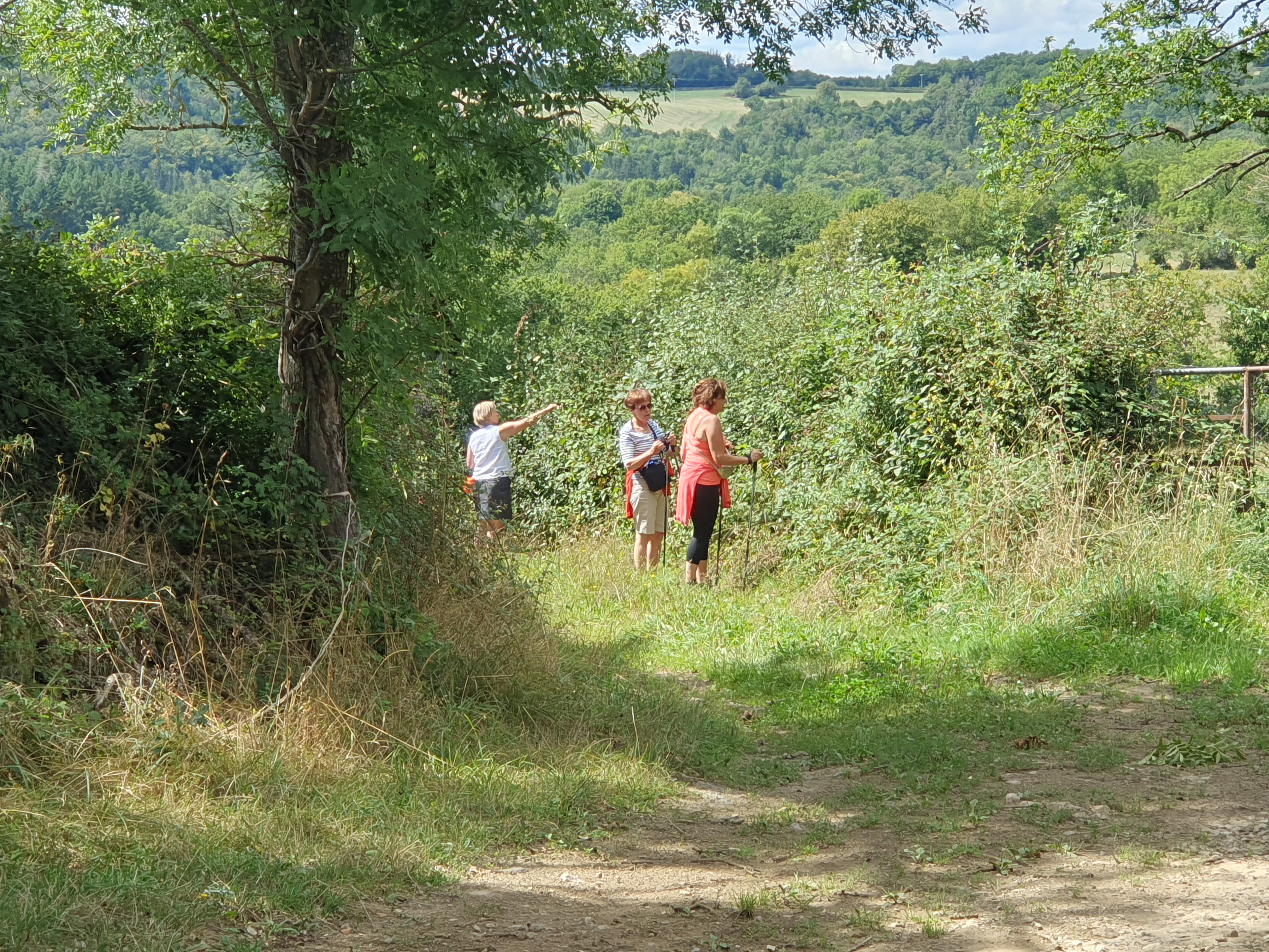 Photo n° 1 de l'avis de Kathleen.e fait le 23/10/2023 à 09:27