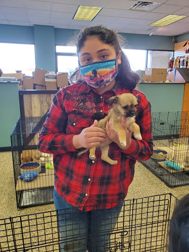 Pet Supply Store «Pet Ranch», reviews and photos, 3823 E 120th Ave, Denver, CO 80233, USA