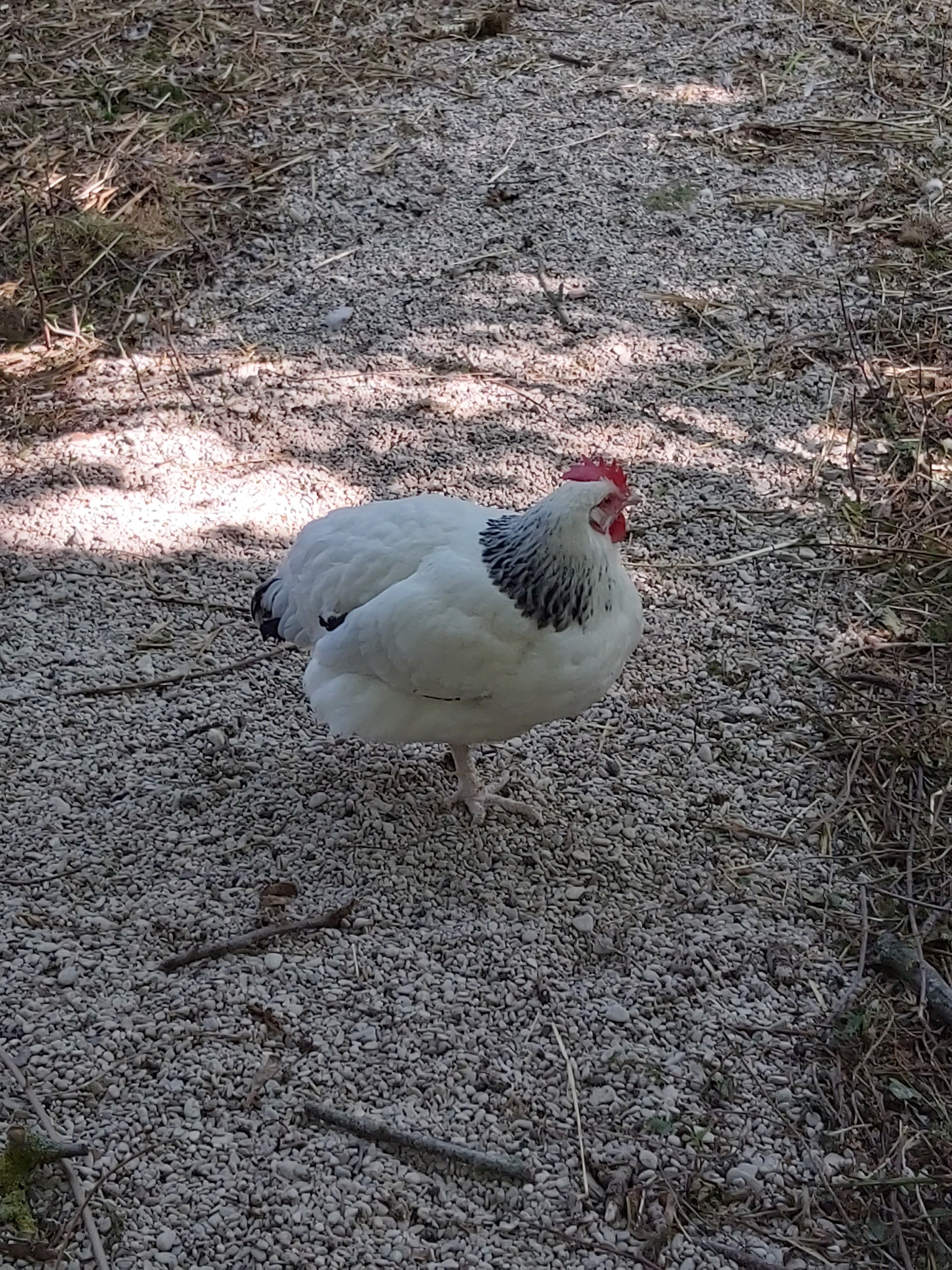 Photo n° 5 de l'avis de Sam. fait le 23/07/2019 à 08:35