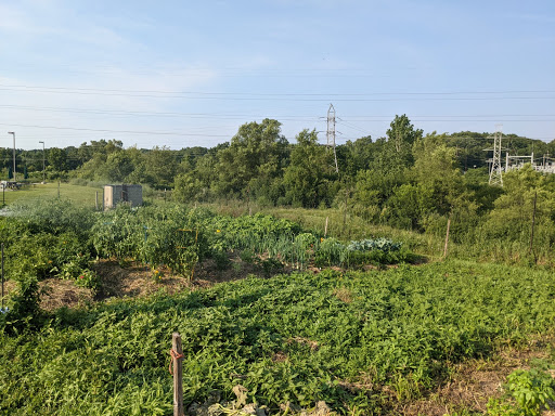 Project Grow Community Gardens