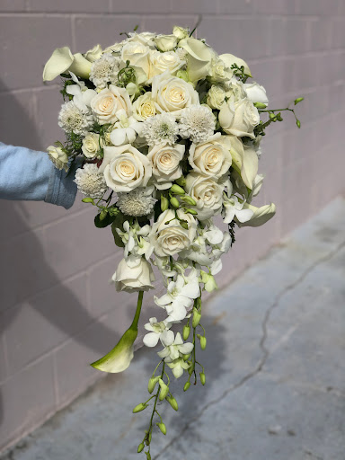 Florist «Hobby Hill Florist Inc», reviews and photos, 541 N Ridgewood Dr, Sebring, FL 33870, USA