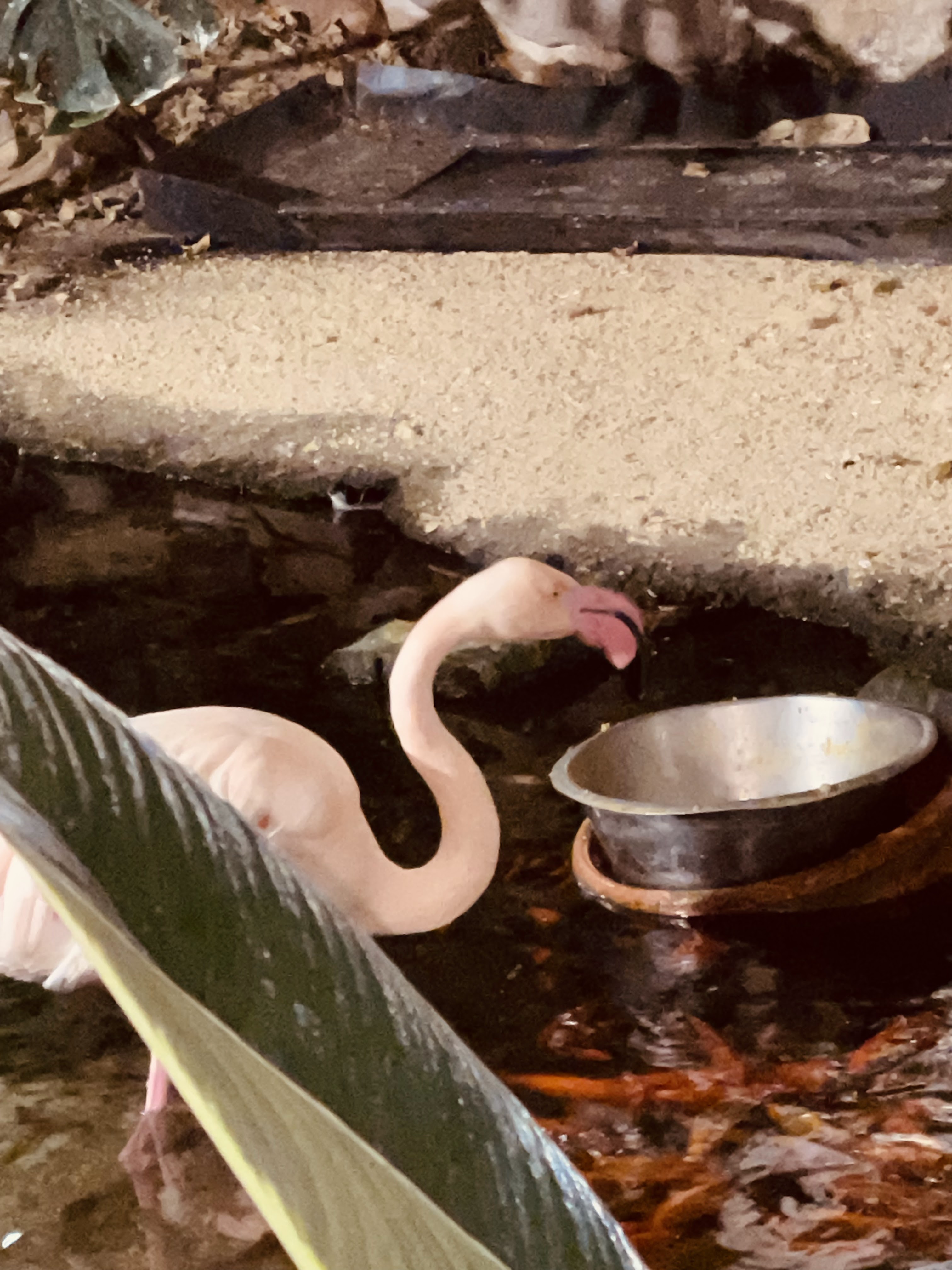 Photo n° 10 de l'avis de Céline. fait le 06/01/2024 à 14:16