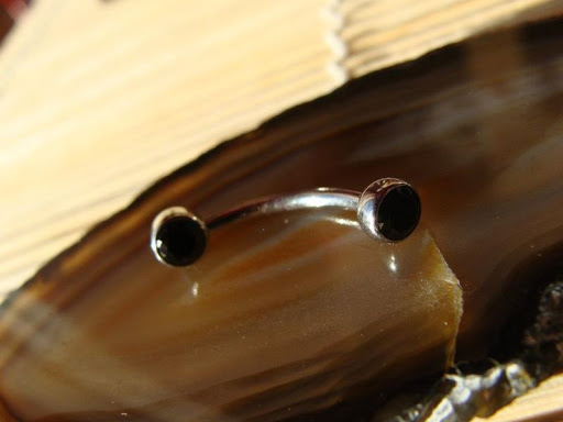 Explore men neck tattoo ideas, creative tattoo ideas in Aurora, available at Ronin Tattoo Studio INC