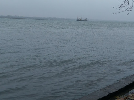 Museum «Grosse Ile Historical Museum», reviews and photos, 25000 E River Rd, Grosse Ile Township, MI 48138, USA