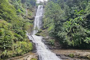 Cascada Juan Curi image