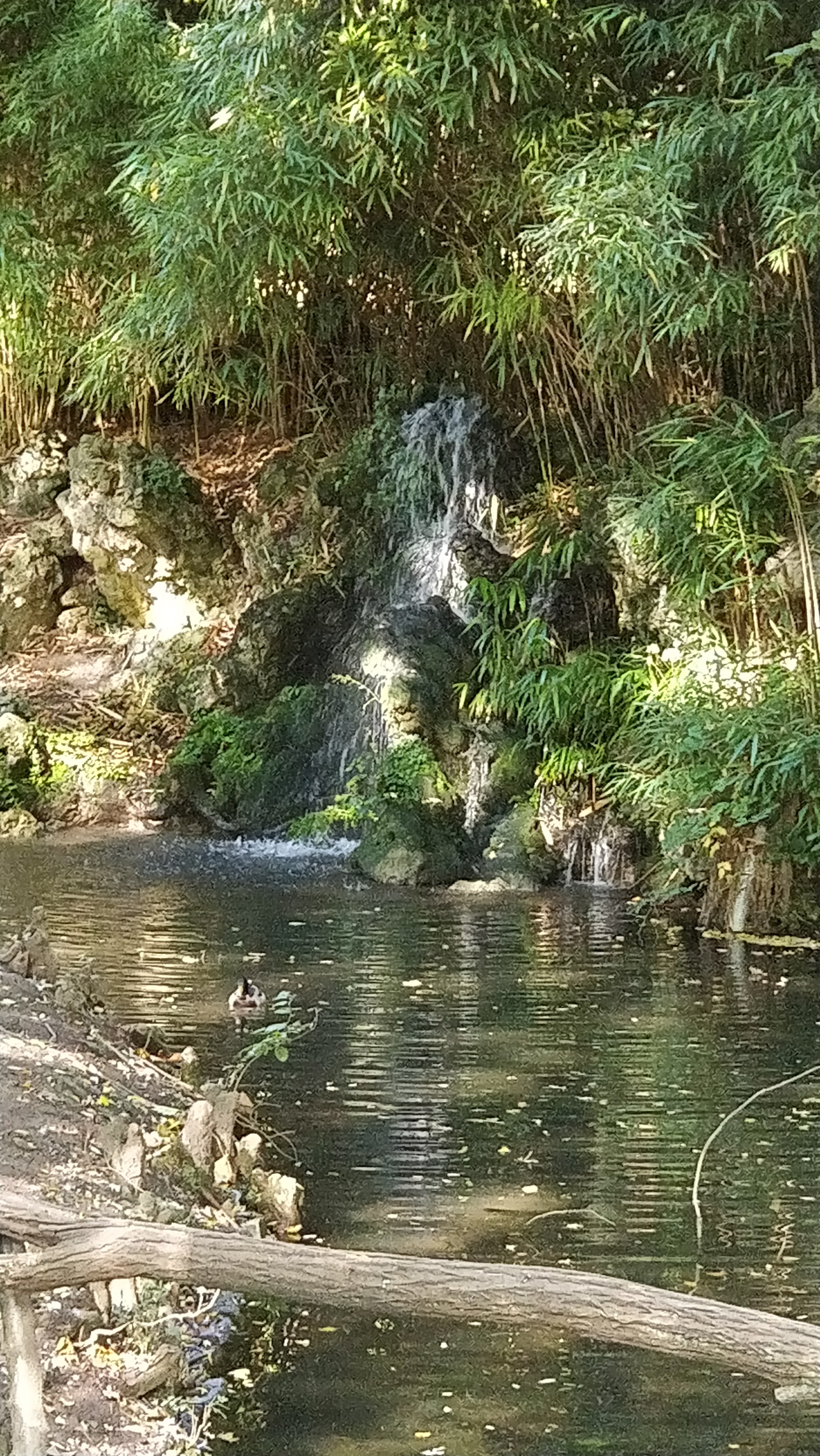 Photo n° 7 de l'avis de Céline. fait le 24/10/2017 à 16:48