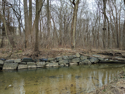 Park «Pilgrim Hill Local Park», reviews and photos, 1615 E Randolph Rd, Silver Spring, MD 20904, USA