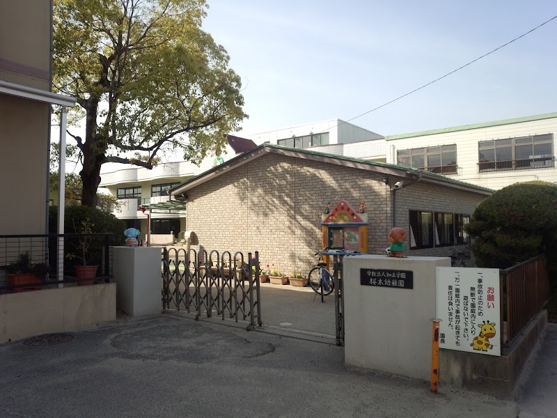 桜木幼稚園