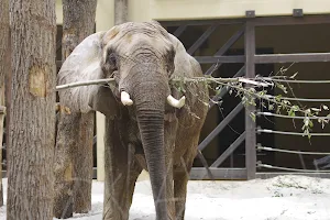 Národná zoologická záhrada Bojnice image