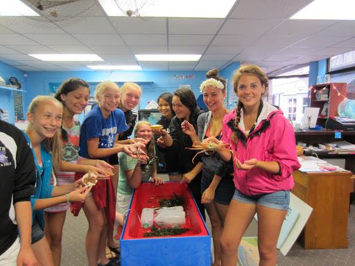 Aquarium «Explore the Ocean World, llc Oceanarium», reviews and photos, 367 Ocean Blvd, Hampton, NH 03842, USA