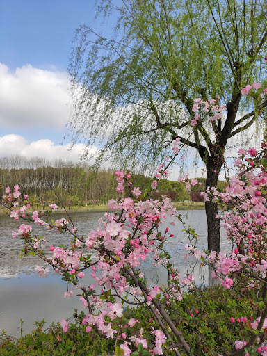 Li'an Park