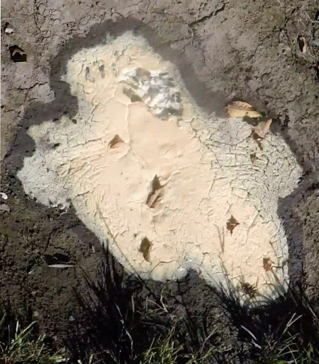 Ice Cream Shop «Owowcow Creamery», reviews and photos, 4105 Durham Rd, Ottsville, PA 18942, USA