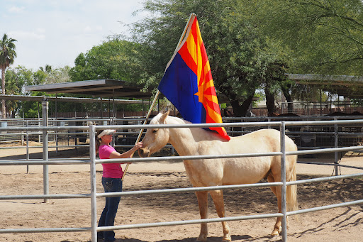 Mesquite Ranch and Stables