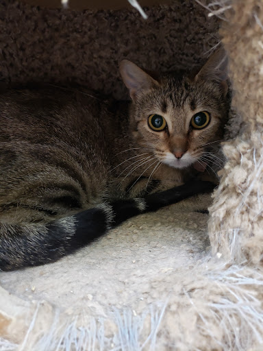 Pet Store «Pets Plus - Quakertown», reviews and photos, 117 S West End Blvd, Quakertown, PA 18951, USA