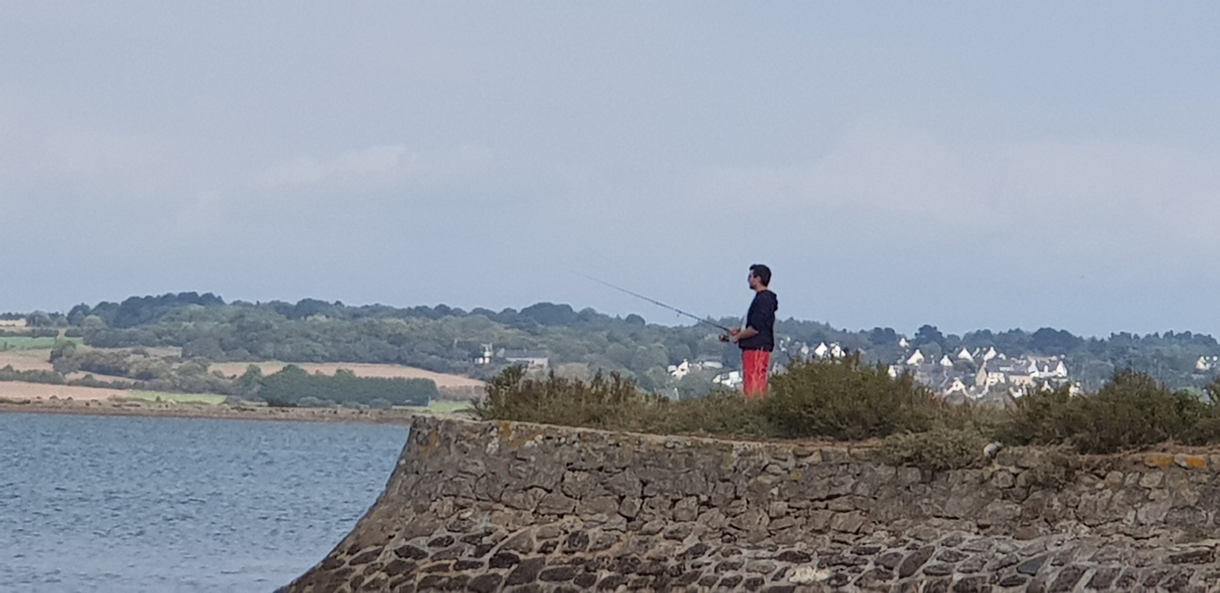 Photo n° 4 de l'avis de dragon. fait le 29/11/2019 à 13:16