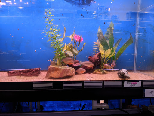 Pet Supply Store «Wet Spot Tropical Fish», reviews and photos, 4310 NE Hancock St, Portland, OR 97213, USA