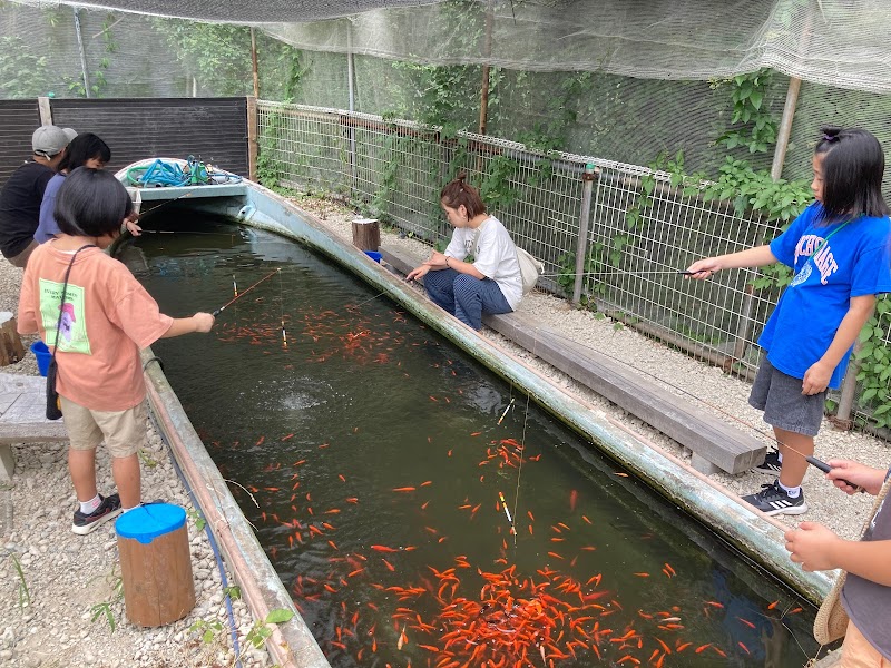 白井水光園