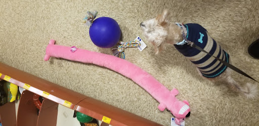 Pet Supply Store «PetSmart», reviews and photos, 4151 Turtle Creek Dr, Coral Springs, FL 33067, USA